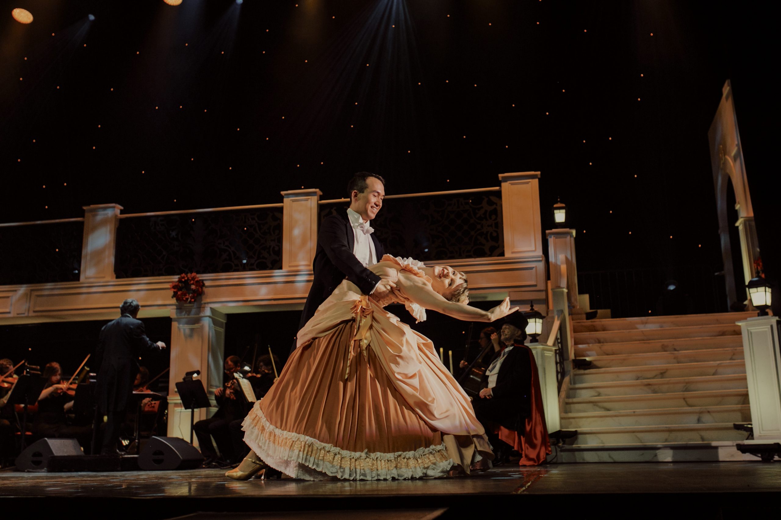 Les Valses de Vienne